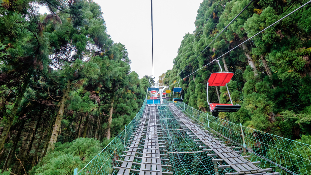 Taking a chair up to Mt. Takao with its tall green pines